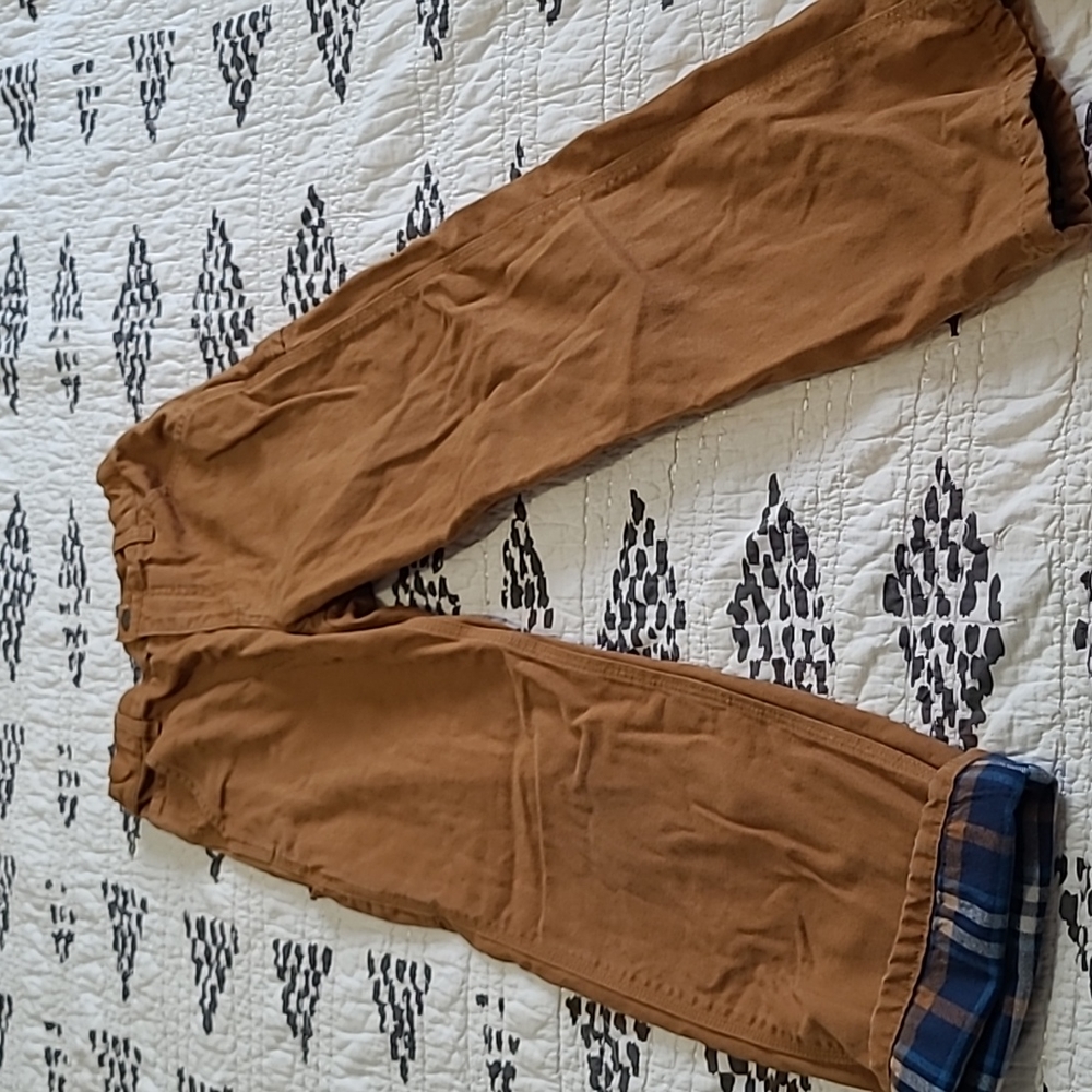 Flannel line Carhartt pants
